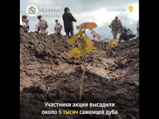 В преддверии праздника День Победы, Курская область присоединилась к Всероссийской акции Сад Памяти. Её цель  высадить 27 мил