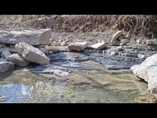 Видео от Гостевой дом Лесная Сказка (Ялта, Кореиз)