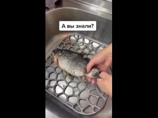 Чистим рыбу без усилий и грязи!