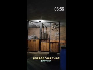 Video by Конный блог: Дама Крестей