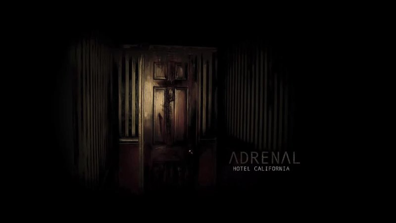 Adrenal Hotel
