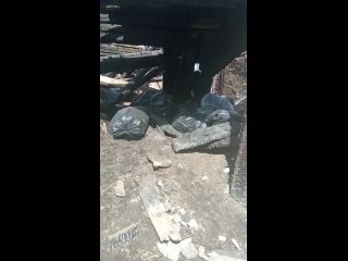 Подброс мусора в сгоревший дом на Чернышевского