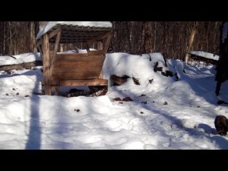 Продолжаем изучать дикую фауну на границе Тульской и Калужской областей