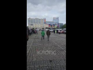 Калининградцы выстроились в очередь у Дома Советов за бесплатными саженцами ели (фото, видео)