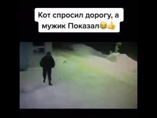 Общение на высшем уровне!✌