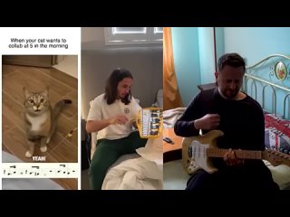 The Kiffness and Spaul - Xylophone Cat
