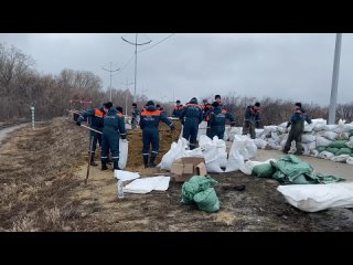 Команда МЧС России из города Иваново помогает укреплять дамбу в Кургане