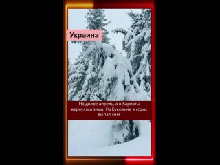 🌎 КЛИМАТИЧЕСКИЕ СОБЫТИЯ
 
🔺 Изучите рекомендации служб по чрезвычайным ситуациям, как вести себя в экстренной ситуац