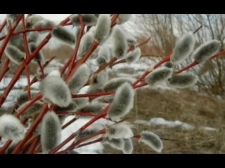 Видео от ЧП,ДТП,Слухи,Черный список г.Салават