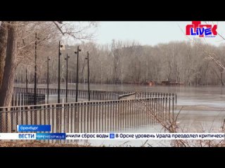 Live: «Вести Оренбуржья» ПРАЙМ Выпуск от 5 апреля 2024 года