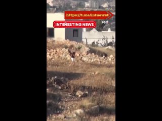 Палестинцы забросали израильского солдата камнями.