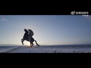[FSG Fireflame] Семь снежных ночей - Трейлер (рус.саб.) (七夜雪)