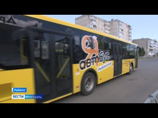 Жители Рыбинска оценили преимущества новых Яавтобусов