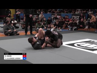 fin 77 DAVIS ASARE vs TOMMY LILLESKOG LANGAKER 2024 ADCC European