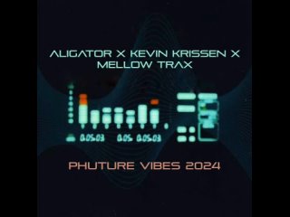 DJ Aligator, Kevin Krissen, Mellow Trax - Phuture Vibes (2024 Remake)