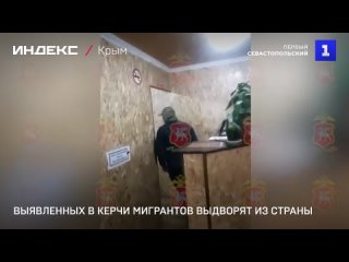 Выявленных в Керчи мигрантов выдворят из страны