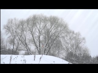 OMNIMAR - So Cold (OFFICIAL VIDEO) _ darkTunes Music