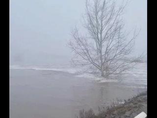 В посёлке Самородово  затопило дорогу. Вода в некоторых местах разрушила ограждения и мощным течением пошла дальше