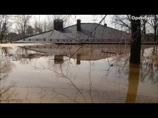 Наводнение_в_Оренбурге_сегодня_затопило_губернатора__вода_добралась_до_элитных_районов_12042024204334_MPEG-4 (720p).mp4