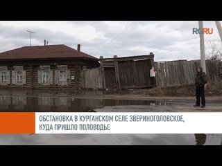 РГ сняла на видео обстановку в курганском селе Звериноголовское