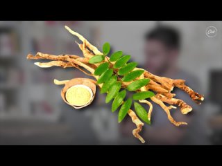 Is Tongkat Ali Safe? Revealing the Shocking Side Effects of Eurycoma Longifolia in Just 3 Minutes!