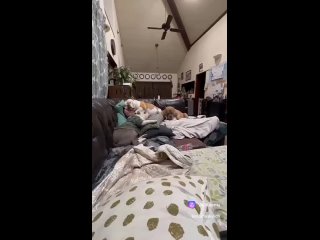 clip-26217154_456244553.mp4