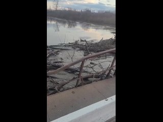 В селах у Кургана объявили эвакуацию — вода уже заходит на улицы