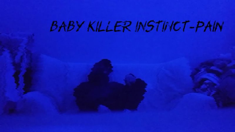 Baby killer instinct - Pain