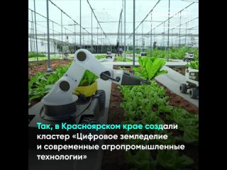 Колледжи выпустят 138 тыс. молодых профессионалов.