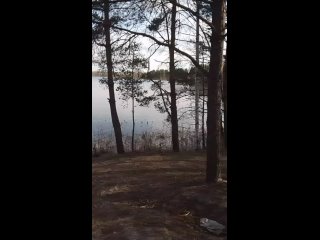 Видео от Рыба_Чок!!!