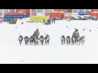 «Вести Арктики» с Натальей Лебедевой от 1 марта 2024 г.