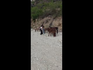 Video by Экскурсии по Дагестану | гид Татьяна