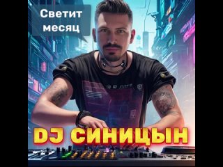 DJ СИНИЦЫН - Светит месяц, светит ясный