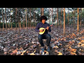 Mandolin Masti (cover) | Bollywood mandolin hits