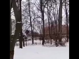 Видео от Подслушано Королёв