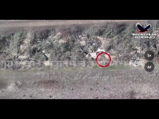Беспилотники уничтожили позицию 120мм миномета ВСУ под Работино