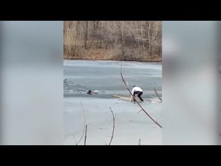 Провалился сам, но спас тонущего