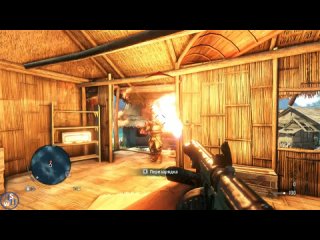 Far Cry III: Осиное гнездо!