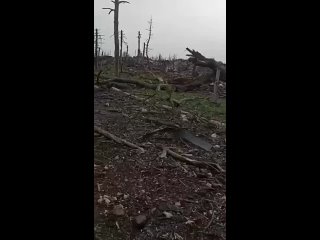 Морпех 155 бригады ТОФ с позывным Верба возлагает цветы к Братской могиле Советских Воинов в освобожденной Новомихайловке