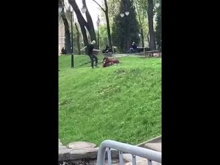 избиение мужчины молодым человеком  в центре Смоленска