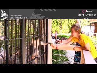 Что гости Отеля Yalta Intourist думают о зоопарке Отеля Планета обезьян и диких кошек(360P).mp4
