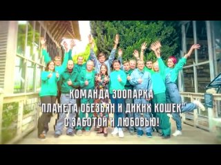 В зоопарке отеля Ялта-Интурист в Крыму родились пумята