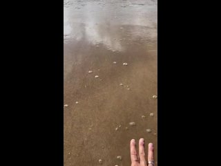 «Торг здесь неуместен»: вот какие на самом деле отношения у Галкина с детьми от Пугачевой (видео)