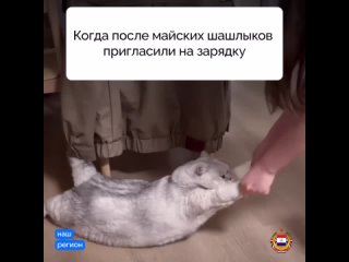 Шумбрат, зарядка!