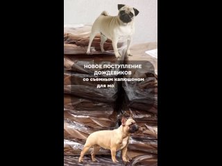 Комбинезоны-дождевик для собак со съёмным капюшоном для мопсов, французских бульдогов, джек-рассел, цвергшнауцер