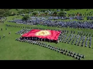 Видео от ЧП и ДТП Брянск