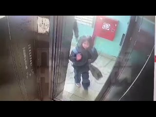 Мерзкое ограбление в Ленобласти: негодяй в лифте забрал телефон у маленькой девочки ⚠️