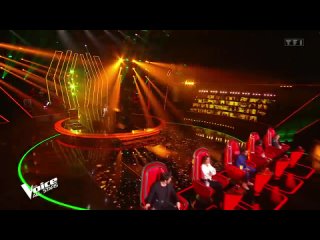 Luis Fonsi ft Daddy Yankee – Despacito _ Vincent Vinel _ The Voice All Stars France 2021