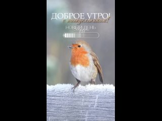 Видео от Астро Куб с Натальей Варфоломеевой
