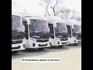 19 новых автобусов скоро выйдут на городские маршруты на юге Сахалина